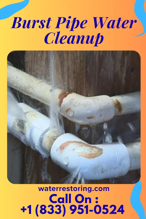 Burst Pipe Water Cleanup in Angel Fire, NM